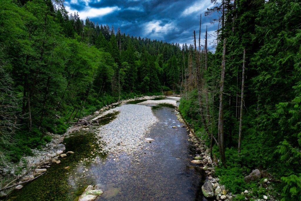 North Shore mountain road — proper tire repair methods explained by The Tire Valet