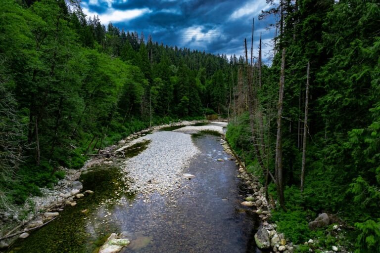 The Right Way to Repair a Tire — Plug, Patch, or Combo?