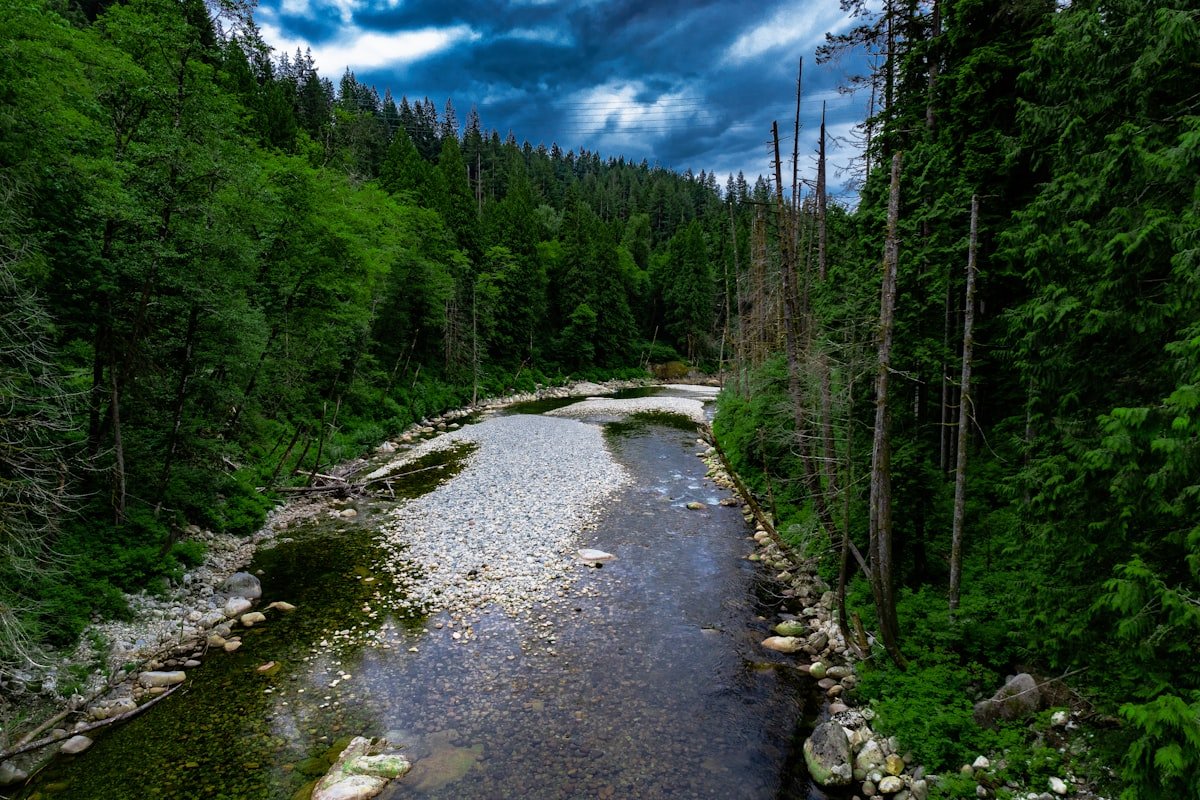 North Shore mountain road — proper tire repair methods explained by The Tire Valet